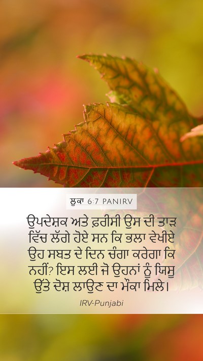 ਲੂਕਾ 6:7 PANIRV Bible Verse Image