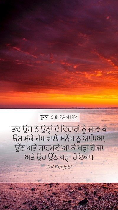 ਲੂਕਾ 6:8 PANIRV Bible Verse Image