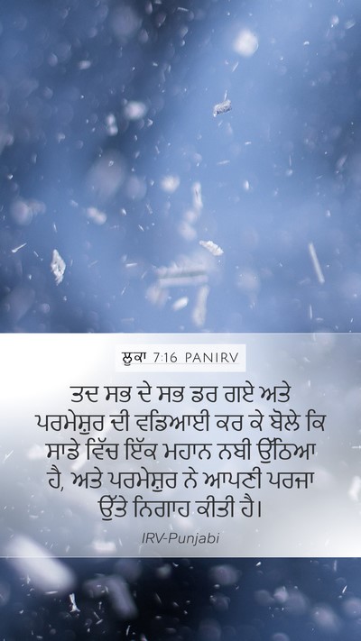 ਲੂਕਾ 7:16 PANIRV Bible Verse Image