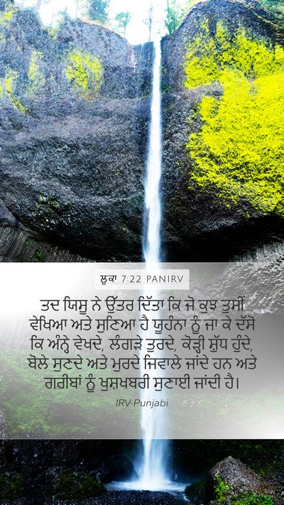 ਲੂਕਾ 7:22 PANIRV Bible Verse Image
