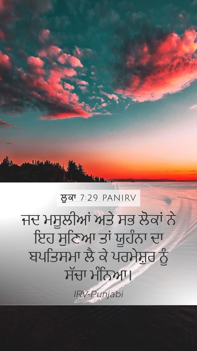 ਲੂਕਾ 7:29 PANIRV Bible Verse Image