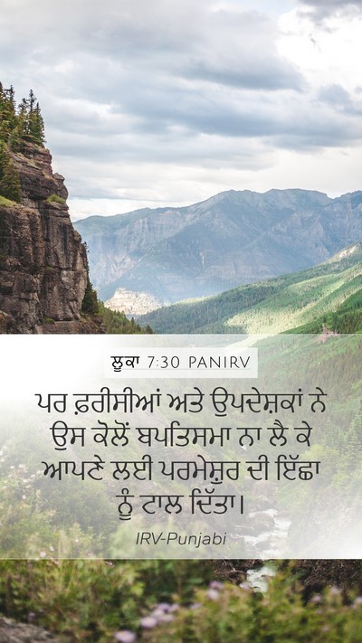 ਲੂਕਾ 7:30 PANIRV Bible Verse Image