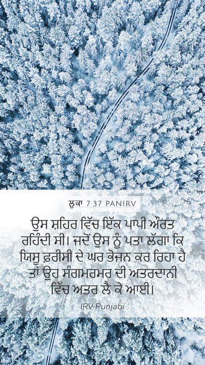 ਲੂਕਾ 7:37 PANIRV Bible Verse Image