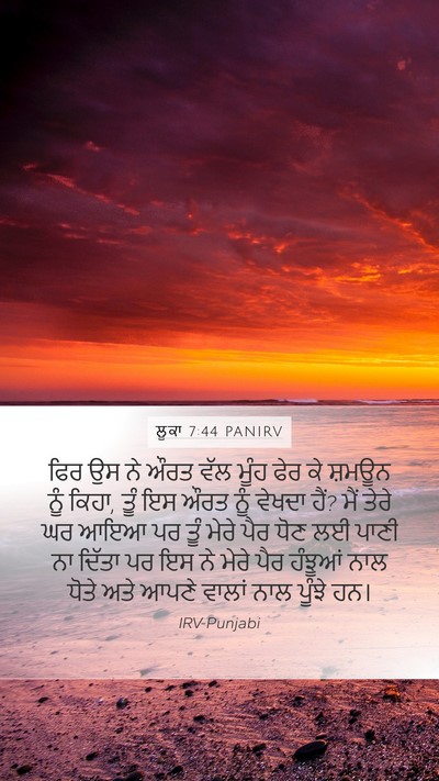 ਲੂਕਾ 7:44 PANIRV Bible Verse Image