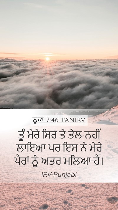 ਲੂਕਾ 7:46 PANIRV Bible Verse Image