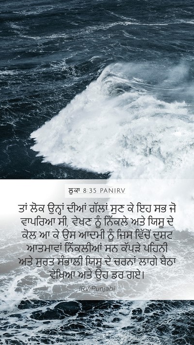 ਲੂਕਾ 8:35 PANIRV Bible Verse Image
