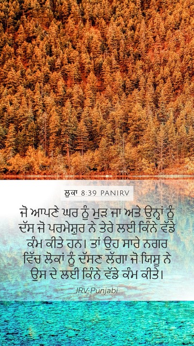 ਲੂਕਾ 8:39 PANIRV Bible Verse Image