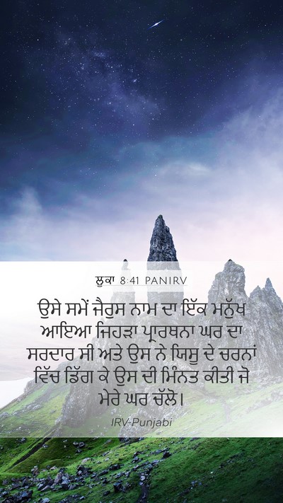 ਲੂਕਾ 8:41 PANIRV Bible Verse Image