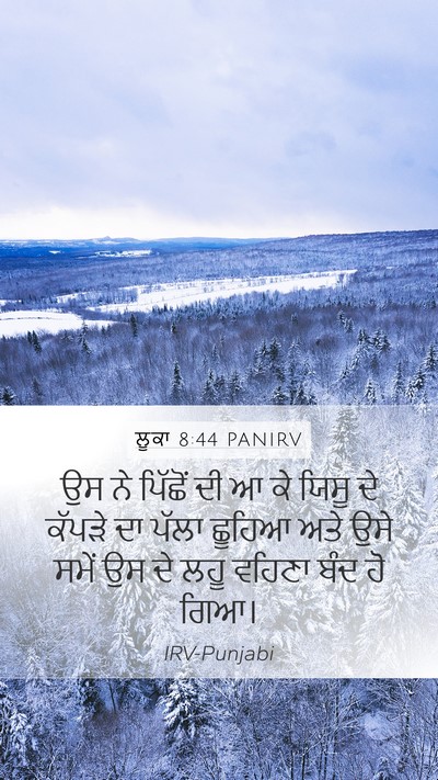 ਲੂਕਾ 8:44 PANIRV Bible Verse Image