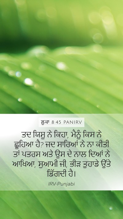 ਲੂਕਾ 8:45 PANIRV Bible Verse Image