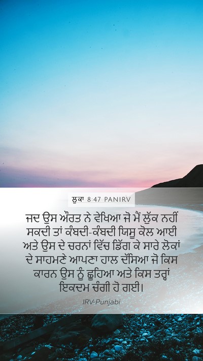 ਲੂਕਾ 8:47 PANIRV Bible Verse Image