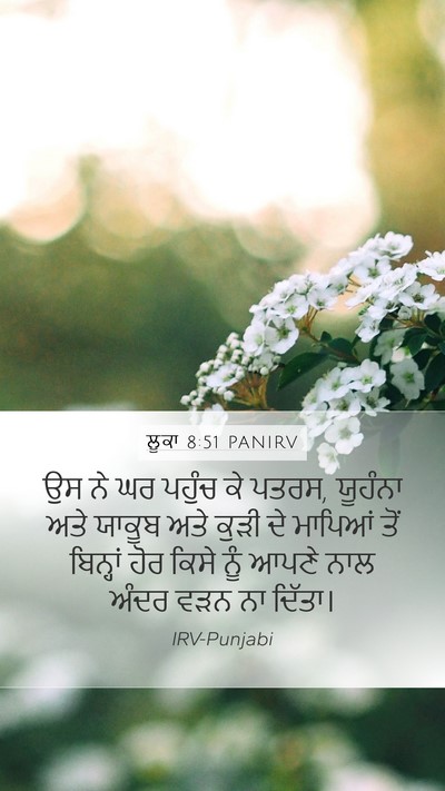 ਲੂਕਾ 8:51 PANIRV Bible Verse Image