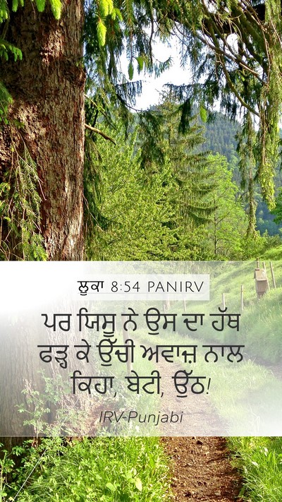 ਲੂਕਾ 8:54 PANIRV Bible Verse Image