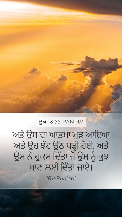 ਲੂਕਾ 8:55 PANIRV Mobile Phone Wallpaper - ਅਤੇ ਉਸ ਦਾ ਆਤਮਾ ਮੁੜ - Mobile Bible Verse Wallpaper