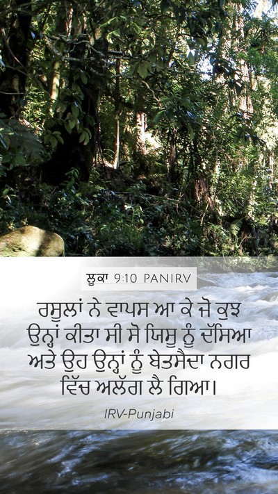 ਲੂਕਾ 9:10 PANIRV Bible Verse Image