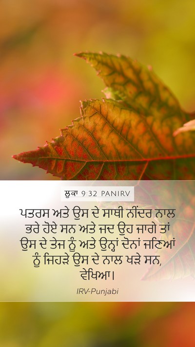 ਲੂਕਾ 9:32 PANIRV Bible Verse Image