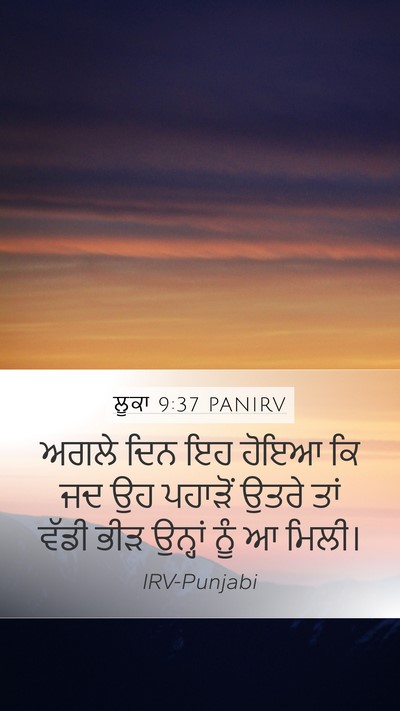 ਲੂਕਾ 9:37 PANIRV Bible Verse Image
