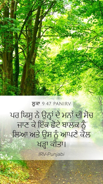 ਲੂਕਾ 9:47 PANIRV Bible Verse Image