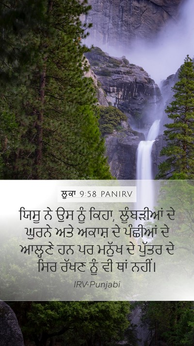ਲੂਕਾ 9:58 PANIRV Bible Verse Image