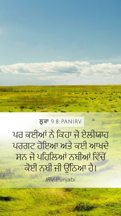 ਲੂਕਾ 9:8 PANIRV Mobile Phone Wallpaper - ਪਰ ਕਈਆਂ ਨੇ ਕਿਹਾ ਜੋ - Mobile Bible Verse Wallpaper