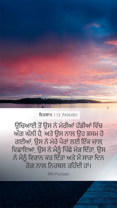 ਵਿਰਲਾਪ 1:13 PANIRV Bible Verse Image
