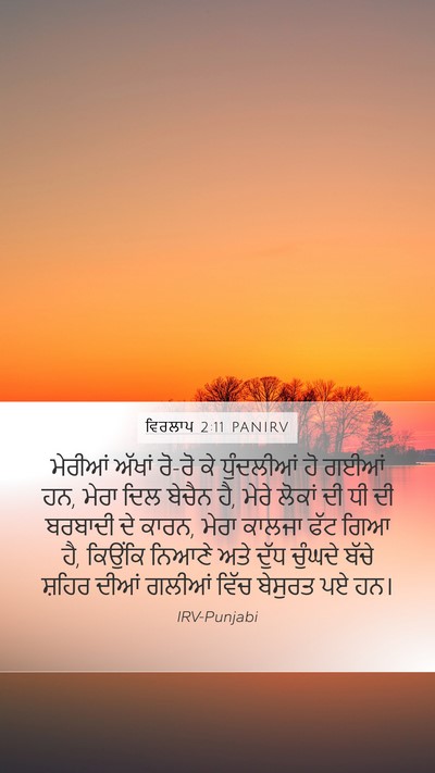 ਵਿਰਲਾਪ 2:11 PANIRV Bible Verse Image