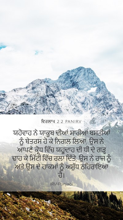 ਵਿਰਲਾਪ 2:2 PANIRV Bible Verse Image