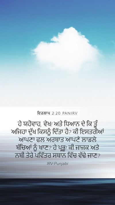 ਵਿਰਲਾਪ 2:20 PANIRV Bible Verse Image
