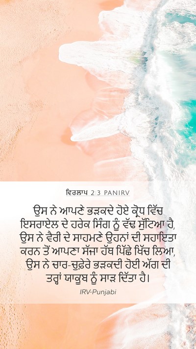 ਵਿਰਲਾਪ 2:3 PANIRV Bible Verse Image
