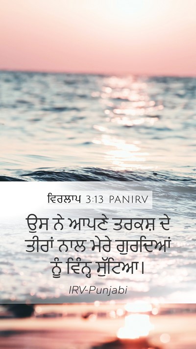 ਵਿਰਲਾਪ 3:13 PANIRV Bible Verse Image