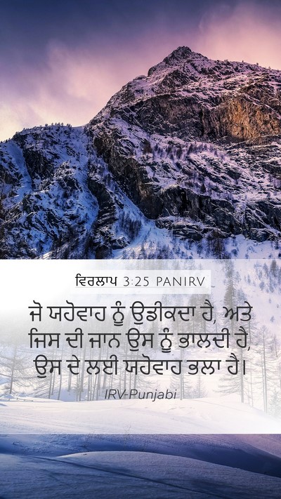 ਵਿਰਲਾਪ 3:25 PANIRV Bible Verse Image