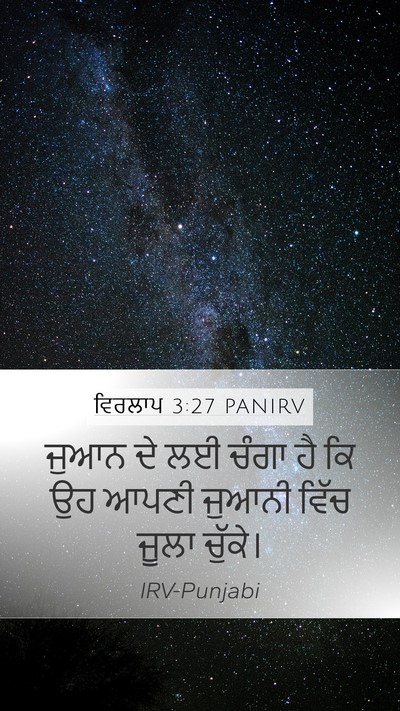 ਵਿਰਲਾਪ 3:27 PANIRV Bible Verse Image