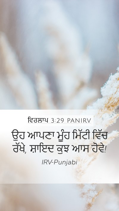 ਵਿਰਲਾਪ 3:29 PANIRV Bible Verse Image