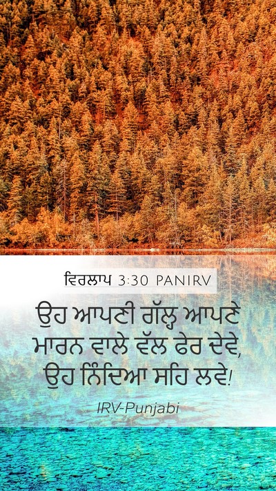 ਵਿਰਲਾਪ 3:30 PANIRV Bible Verse Image