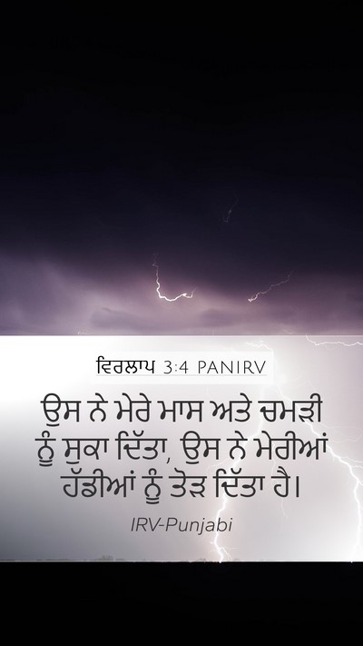 ਵਿਰਲਾਪ 3:4 PANIRV Bible Verse Image