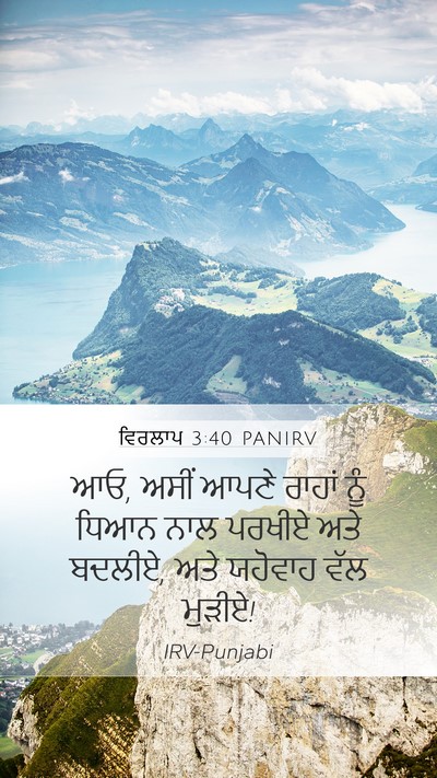 ਵਿਰਲਾਪ 3:40 PANIRV Bible Verse Image