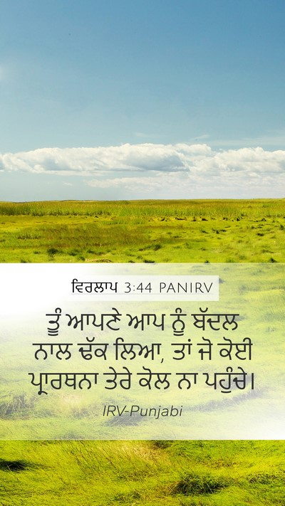 ਵਿਰਲਾਪ 3:44 PANIRV Bible Verse Image