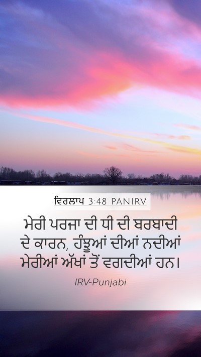 ਵਿਰਲਾਪ 3:48 PANIRV Bible Verse Image