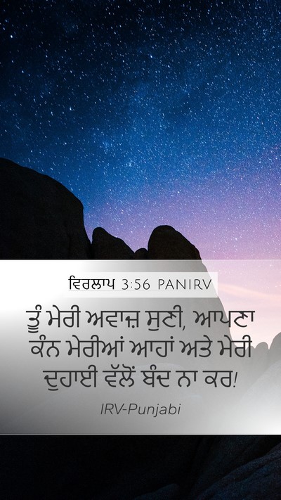 ਵਿਰਲਾਪ 3:56 PANIRV Mobile Phone Wallpaper - ਤੂੰ ਮੇਰੀ ਅਵਾਜ਼ - Mobile Bible Verse Wallpaper