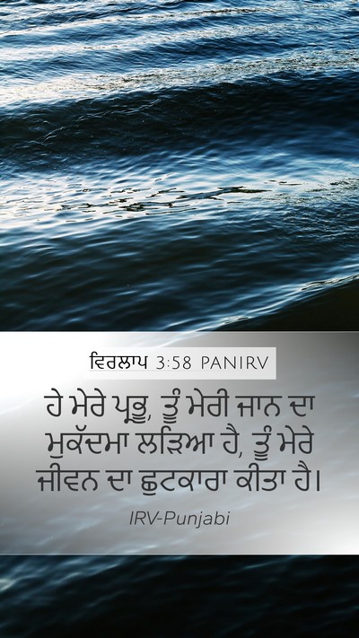 ਵਿਰਲਾਪ 3:58 PANIRV Bible Verse Image