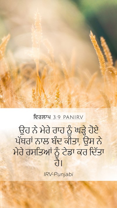 ਵਿਰਲਾਪ 3:9 PANIRV Bible Verse Image