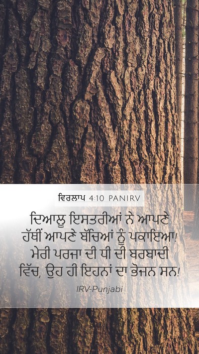 ਵਿਰਲਾਪ 4:10 PANIRV Bible Verse Image