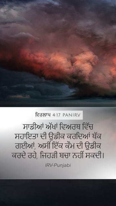 ਵਿਰਲਾਪ 4:17 PANIRV Bible Verse Image