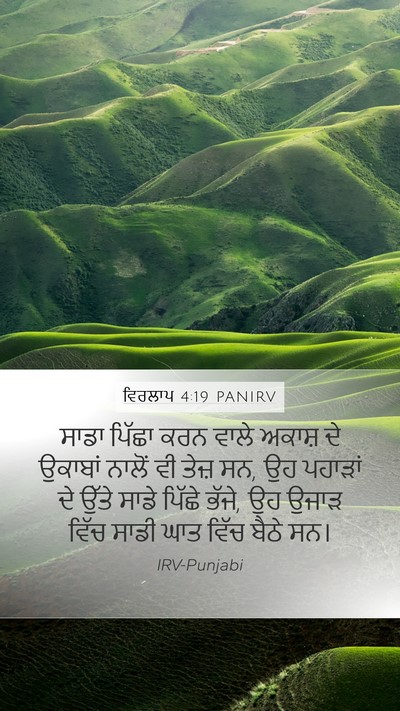 ਵਿਰਲਾਪ 4:19 PANIRV Bible Verse Image