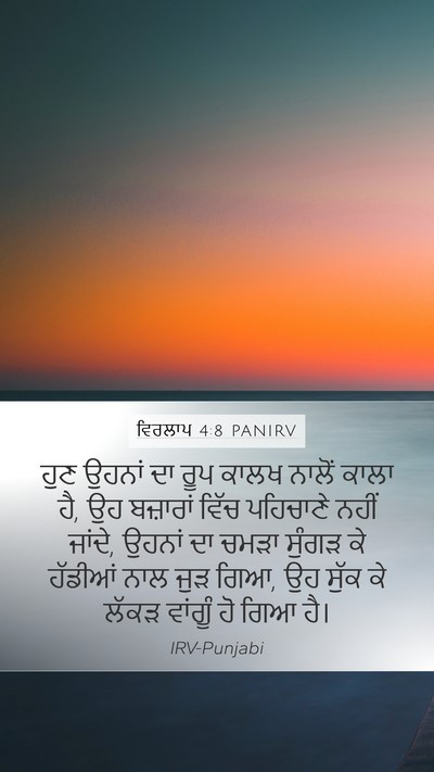 ਵਿਰਲਾਪ 4:8 PANIRV Bible Verse Image