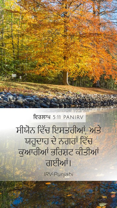 ਵਿਰਲਾਪ 5:11 PANIRV Bible Verse Image