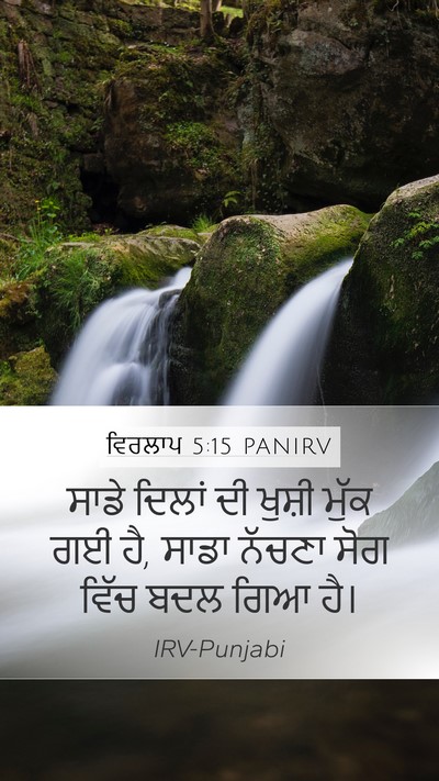 ਵਿਰਲਾਪ 5:15 PANIRV Bible Verse Image