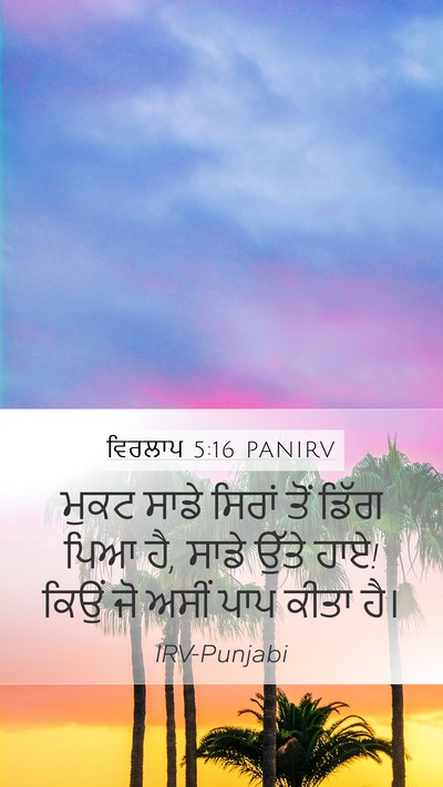 ਵਿਰਲਾਪ 5:16 PANIRV Bible Verse Image