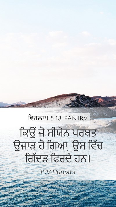 ਵਿਰਲਾਪ 5:18 PANIRV Bible Verse Image