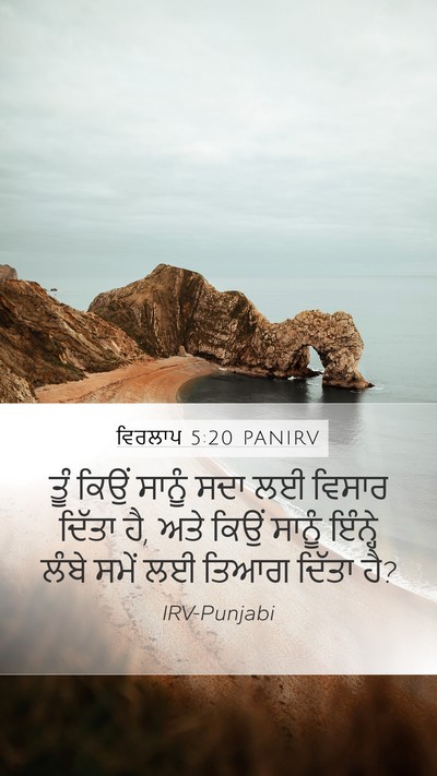 ਵਿਰਲਾਪ 5:20 PANIRV Bible Verse Image